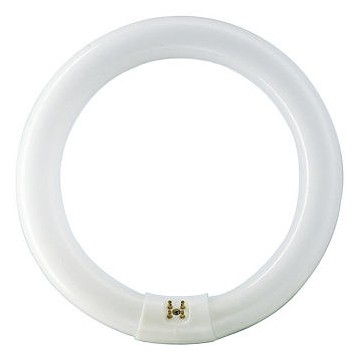 Master lamp Tl-E Circular 40W/840