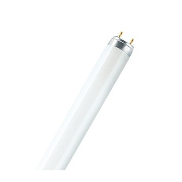 Neon Osram L36/67