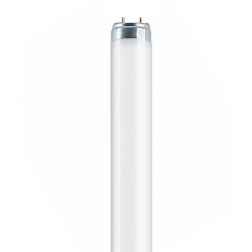 Néon Osram L58W/640