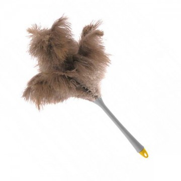 Ostrich Feather Duvet 50 cm 30125 Apex