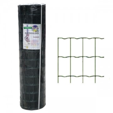 Rex Zn+P mesh 100X50-2.50 h 60 m 10 Trex 05879