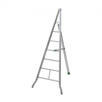 Aluminum Agriculture Ladder m 2.5 Facal