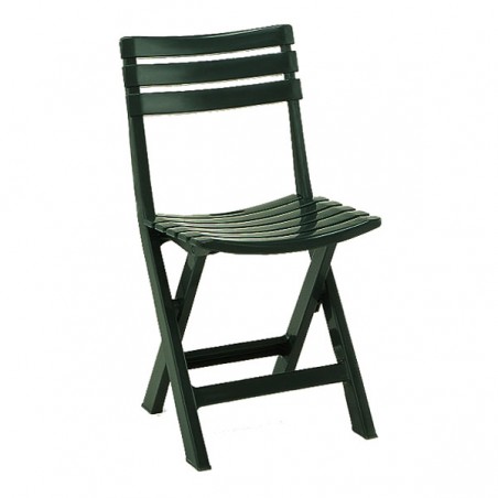 Birki Green Progarden Folding Resin Chair