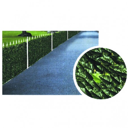 Lauro hedge h 100 m 3 Ilcampo 00029