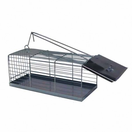 Gallery Mouse Trap 24 cm