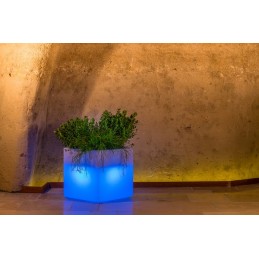 Vaso luminoso moderno di...