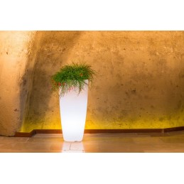 Vaso luminoso alto moderno...