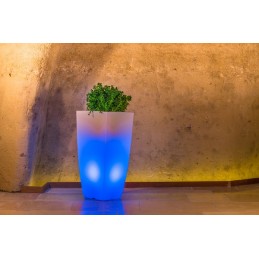 Vaso luminoso moderno di...