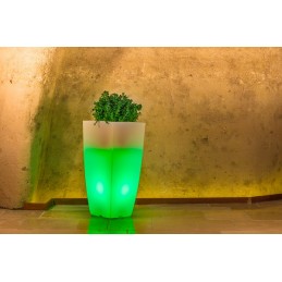 Vaso luminoso moderno di...