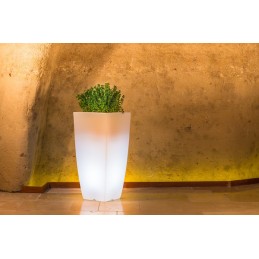 Vaso luminoso alto moderno...