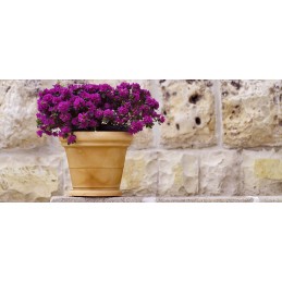 Vaso grande XXL decorativo...