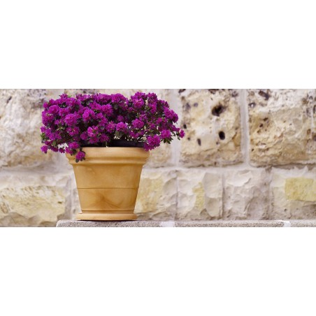 Vaso grande XXL decorativo classico tradizionale Ø90 H72 in polimero resistente impruneta per alberi e grandi piante per giardini e terrazze - Made in Italy - Monacis