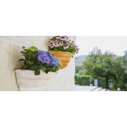 Vaso da parete decorativo...