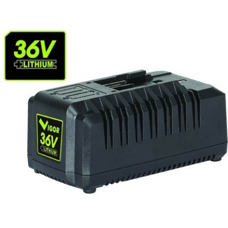 Vigor Lithium Vx Series Charger Vx 36 Volt