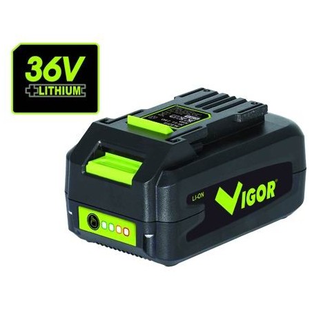 Vigor Litio Serie Vx Batteria Vx 36 Volt