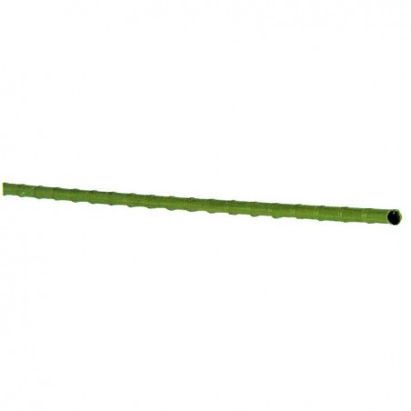 Plastic cane with knots and core
