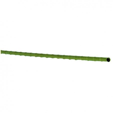 Plastic cane with knots and core