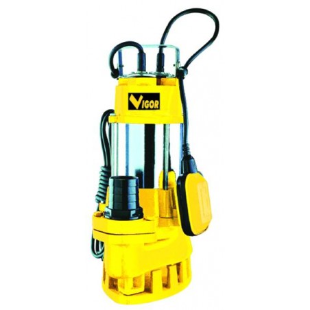 Pompe électrique Vigor Ve1500 Sub Inox-Cast Iron A.Luride 2" F