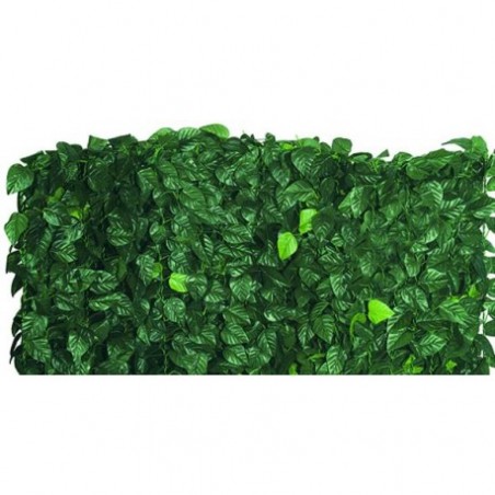 Evergreen Hedge Lauro-Mix