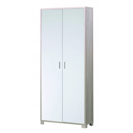 Sarmog 2 Door Cabinet