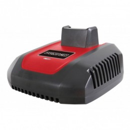 Carica batteria veloce 40 V...