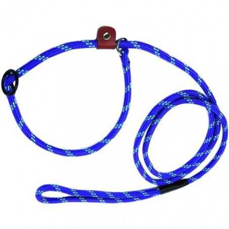 Laisses pour Chiens Nylon Blinky avec Noose 1Cm/Sect Cm. 150