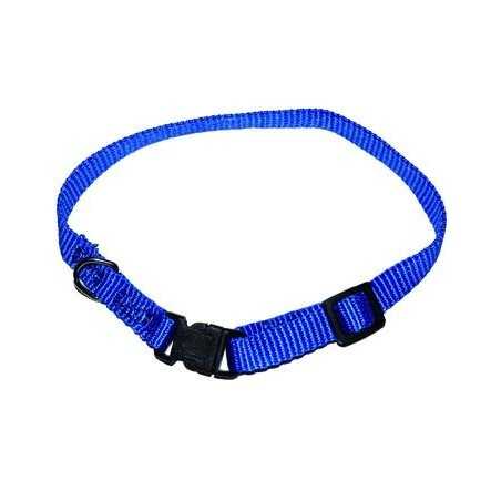 Collari per Cani Blinky Poliestere Small Tg.23-32Cm