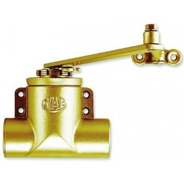 Mab Traditional Gold door...