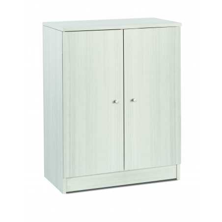 Sarmog 2 Door Cabinet