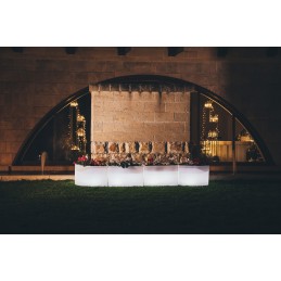 Vaso Fioriera luminosa...