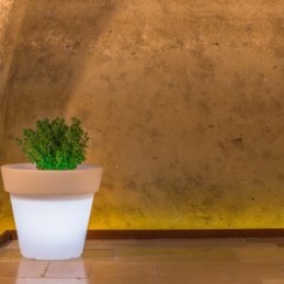 Vaso luminoso moderno di...