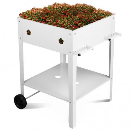 Raised Vegetable Garden in Metal Sheet with Wheels and White Shelf 55X55X80Cm Flora-05