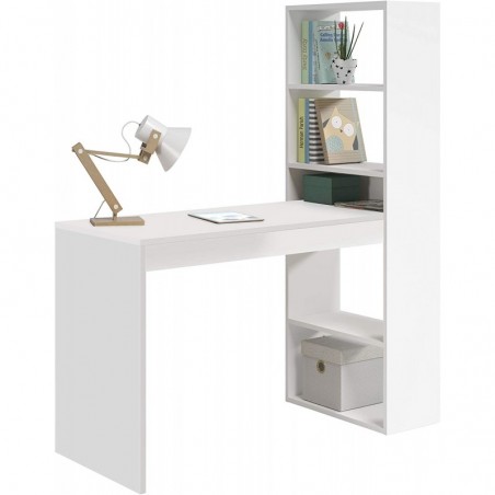 PC Stand Desk with Bookcase Shelves White 120 X53 X 144 H