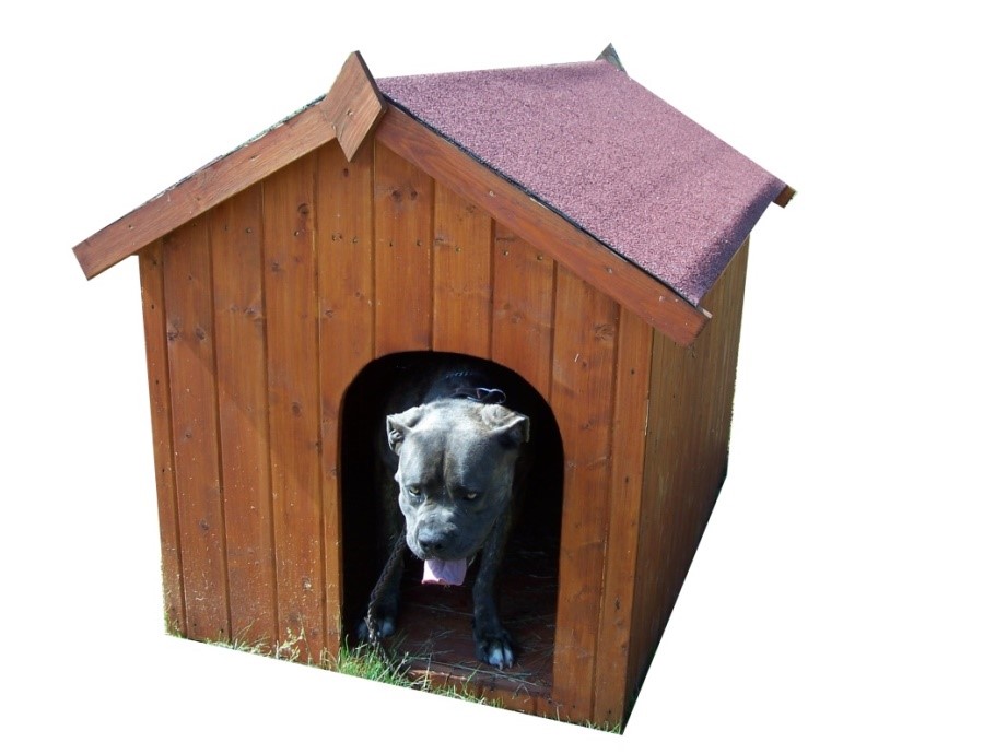Forest Kennel for Large Dogs with Floor 0,80X1,15 m