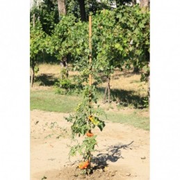 Confezione 9 pz palo quadro...