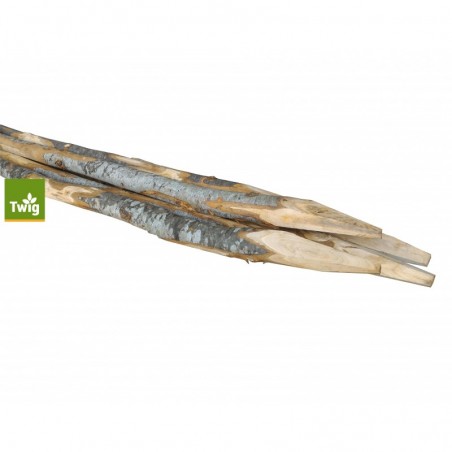 Confezione 4 pz palo in castagno semiscortecciato 4–6x200 cm – Punta – Naturale resistente