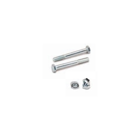 Pack of 2 Pcs Screw Kit for Pole Anchoring 7X7 Elk