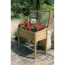 Serra per sementi legno di...