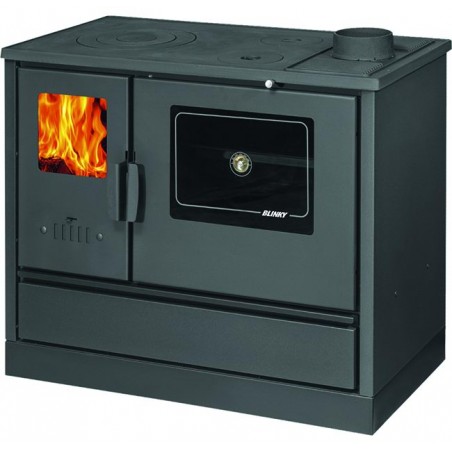 Blinky wood stove with Lina oven with anthracite glass door