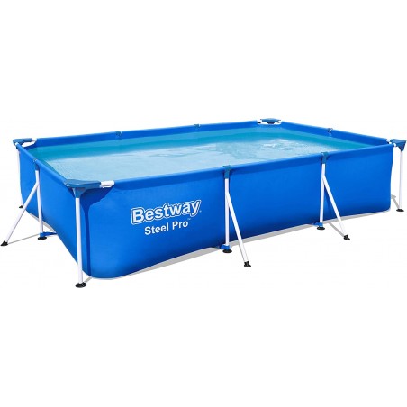 Bestway Steel-Pro 300 pool