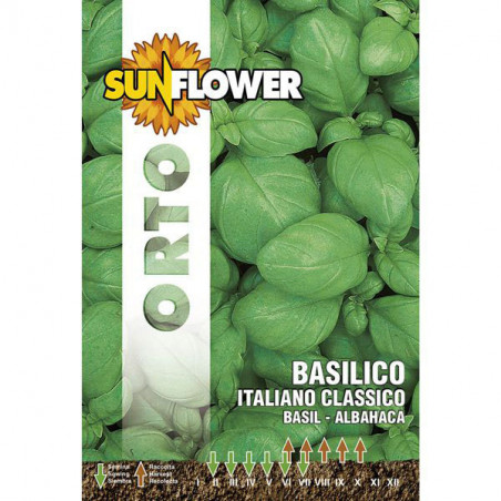 Sementi Basilico Italiano Classico Sunflower