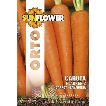 Sementi Carota Flakkee 2 Sunflower