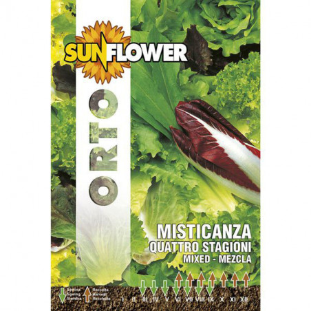 Sementi Misticanza Quattro Stagioni Sunflower