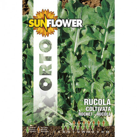 Sementi Rucola Coltivata Foglia Larga Sunflower