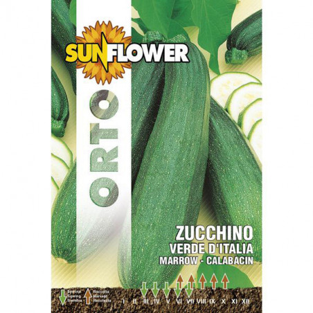 Sementi Zucchino Verde Italia Sunflower