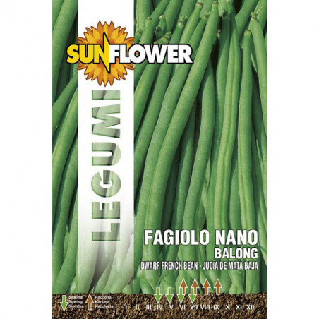 Sementi Fagiolo Nano Balong Sunflower