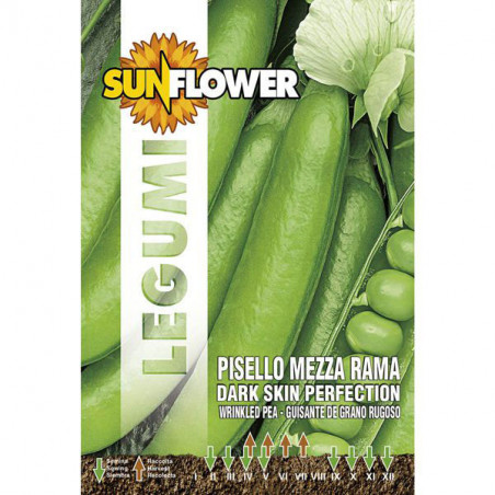 Sementi Pisello Mezza Rama Perfection Sunflower