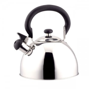 Whistling stainless steel kettle L.2,3 Eva