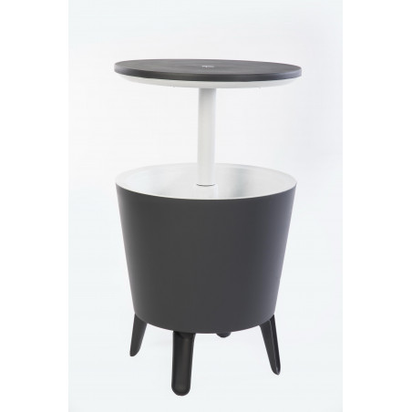 Tavolino Portaghiaccio Cool Bar 30L da Esterno a Doppia Parete Grigio - Keter