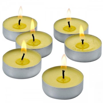 Candela Citronella Tealight pz. 25 Lapillo 09291